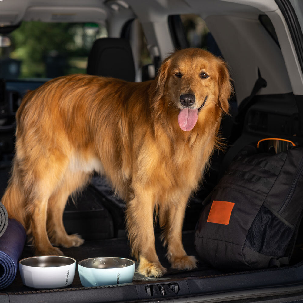 Dog Bowl - Daily Travel Choice Pack